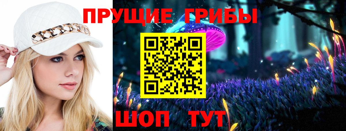 купить наркотик  Вход с VPN  Псилоцибиновые грибы GOLDEN TEACHER  Менделеевск  Псилоцибиновые грибы MAGIC MUSHROOMS 